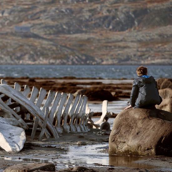 Fra filmen Leviathan