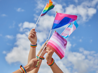 LGBTQ+ litteratur for unge